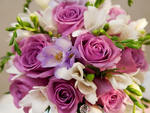 Carte Anniversaire Virtuelle Gratuite Fleurs Jlfavero