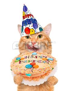 Carte anniversaire chats humour