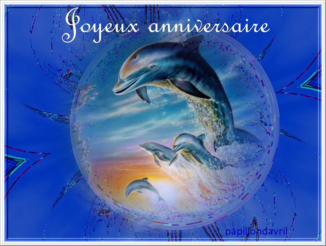 Carte dauphin anniversaire