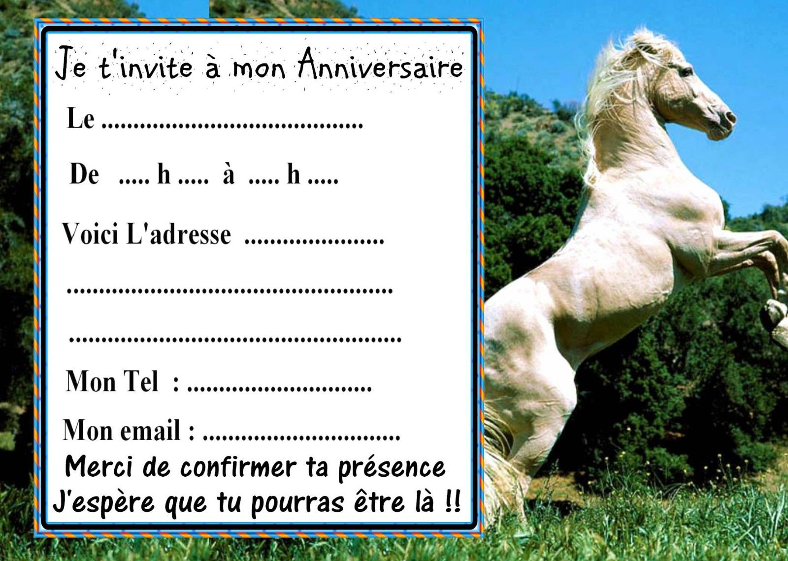 Carte d'invitation anniversaire chevaux