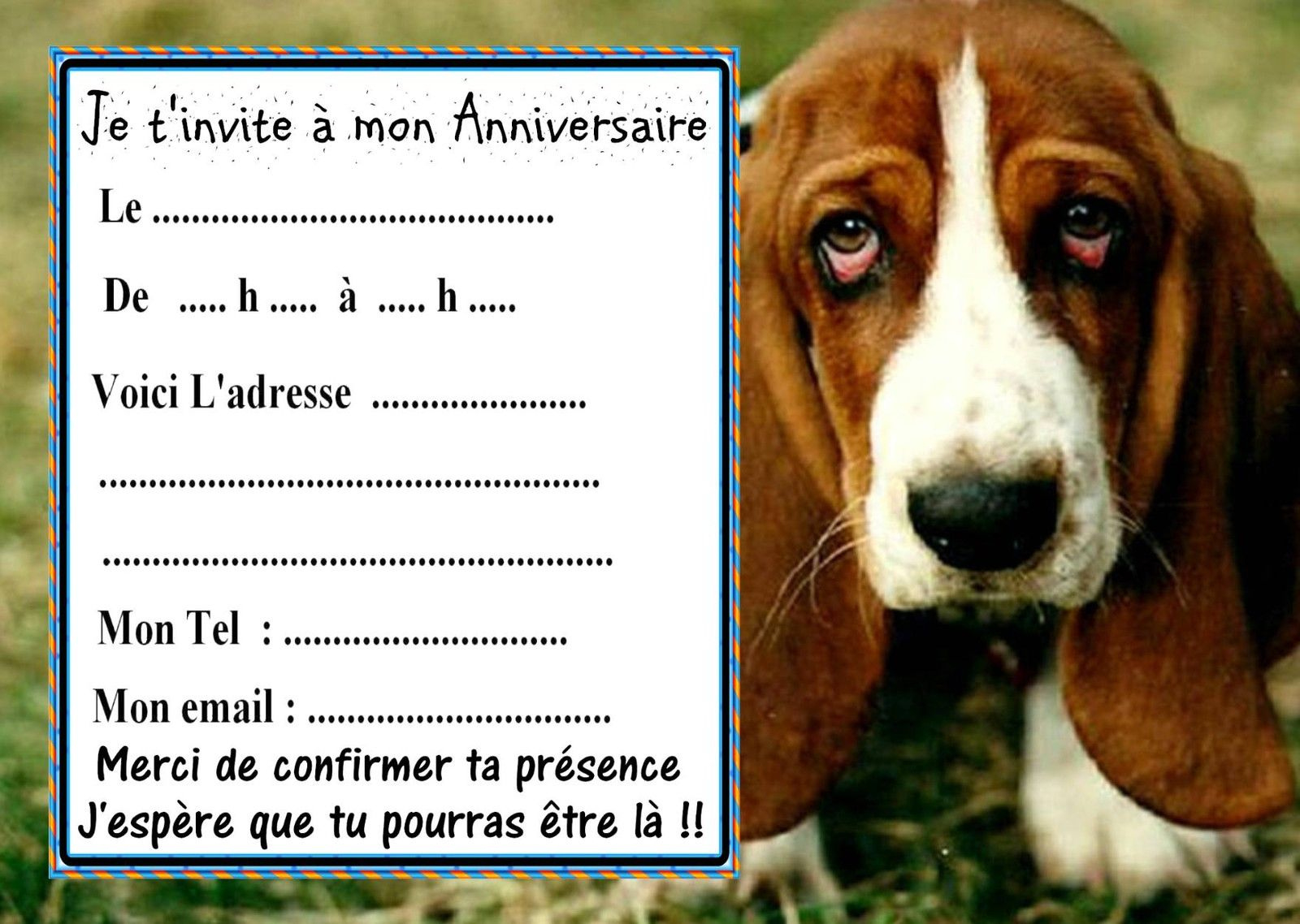 Carte invitation anniversaire gratuite à imprimer chien