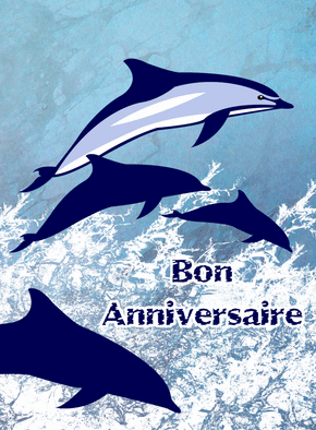 Carte dauphin anniversaire