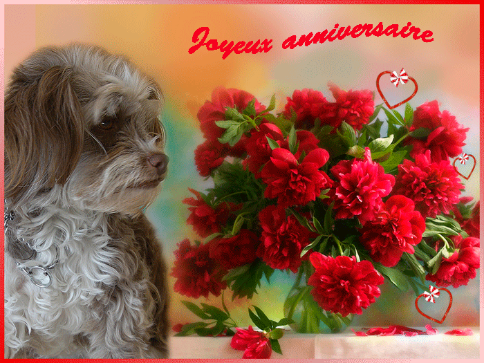 Carte anniversaire chien fleur