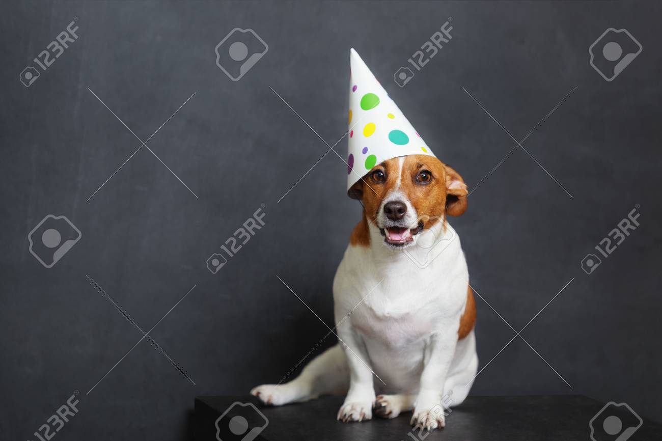 Texte anniversaire pour chien