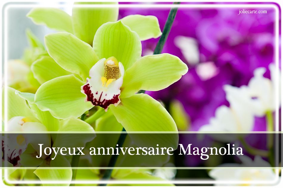 Carte anniversaire magnolia
