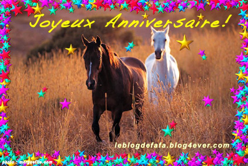 Carte anniversaire cheval avec photo