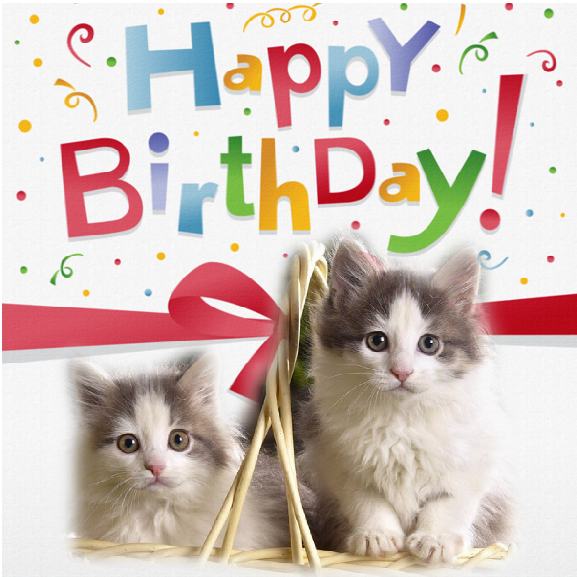 Carte anniversaire à imprimer chaton