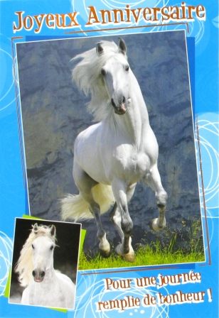 Carte anniversaire humoristique avec cheval