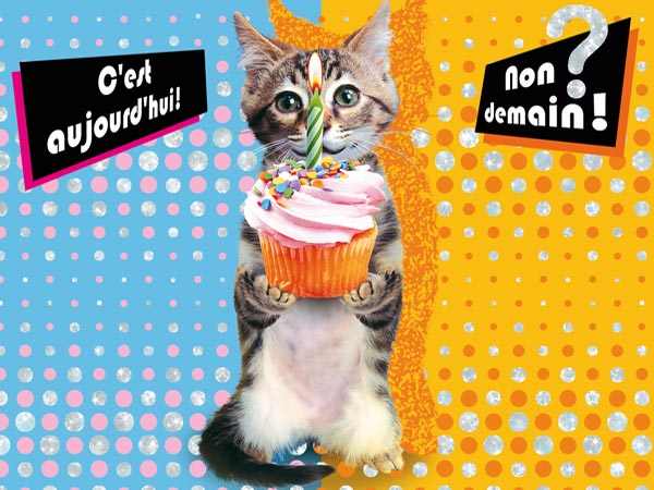 Carte anniversaire imprimer chat