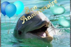 Carte joyeux anniversaire dauphin