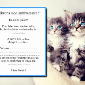Carte d'invitation anniversaire chaton