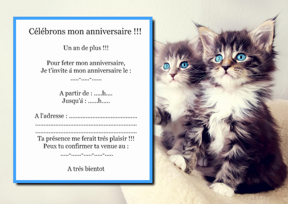 Carte invitation anniversaire chat a imprimer