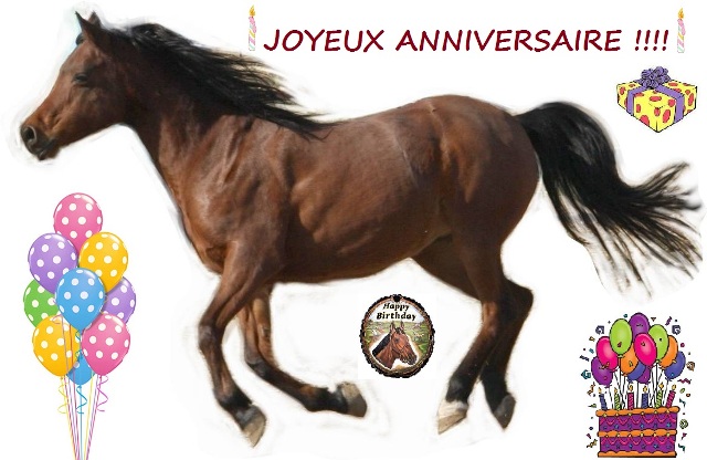 Carte joyeux anniversaire avec un cheval