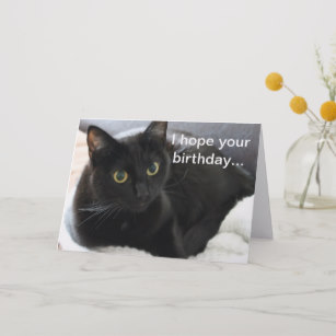 Carte anniversaire chat noir