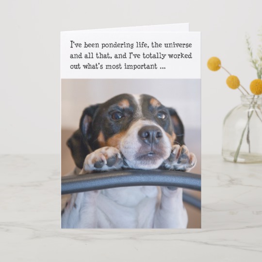 Carte anniversaire humoristique chien