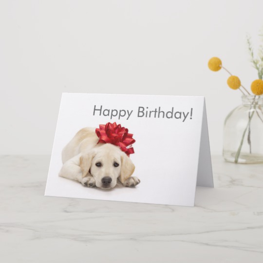 Carte anniversaire avec labrador
