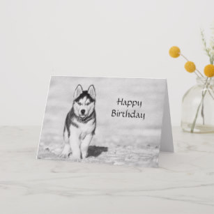 Carte anniversaire chien noir et blanc
