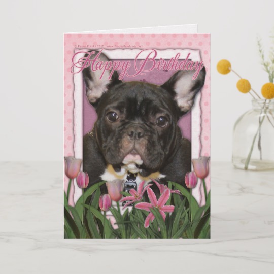 Carte anniversaire bulldog francais