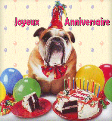 Carte anniversaire chien malinois