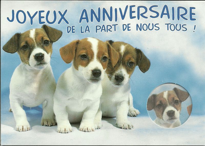 Bonne anniversaire carte chien