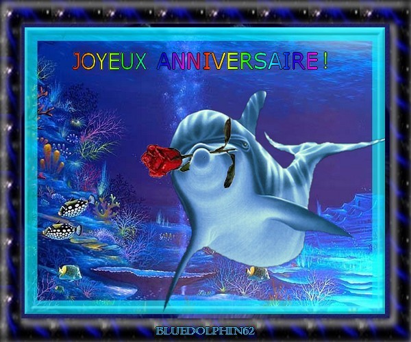 Carte anniversaire dauphin gratuite