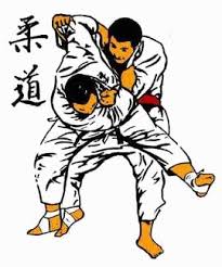 Carte anniversaire judo à imprimer