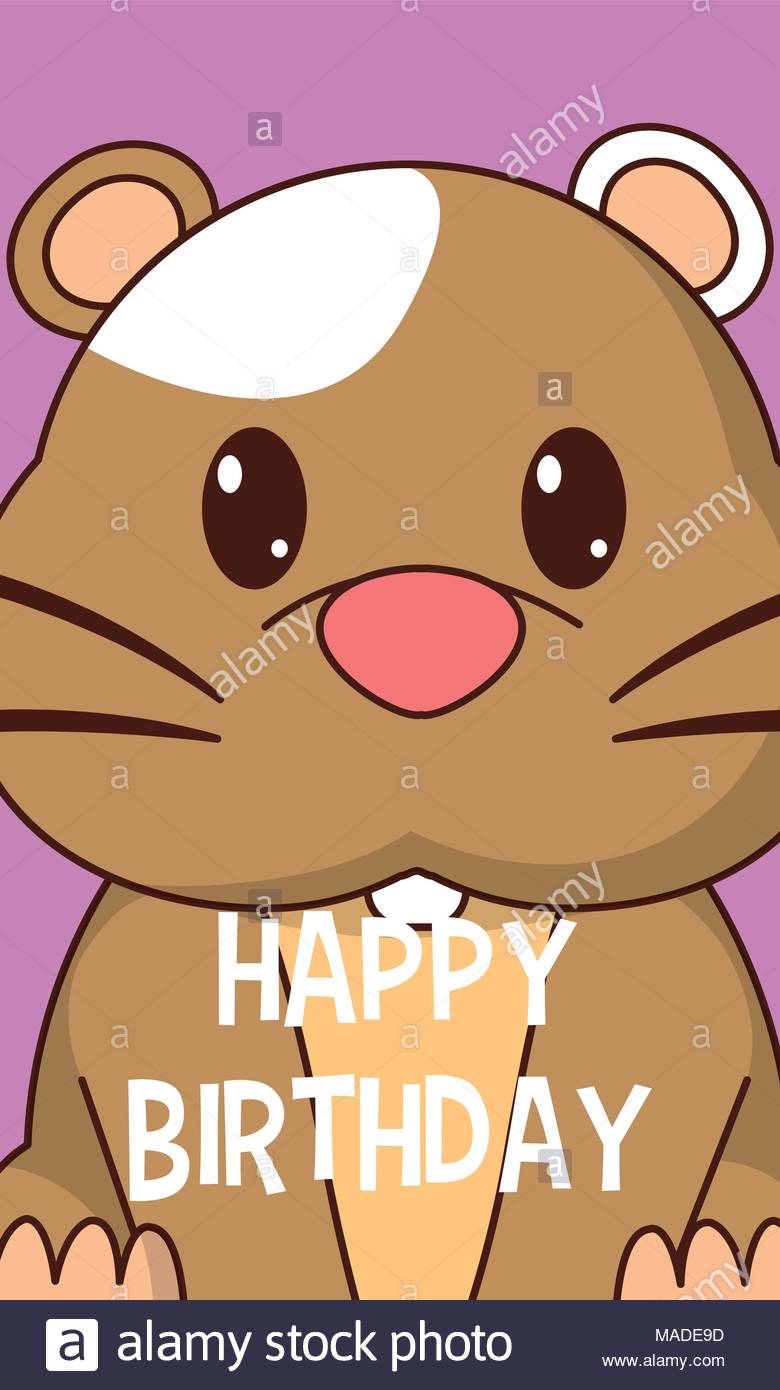 Carte anniversaire hamster