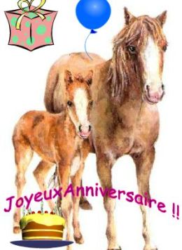 Carte anniversaire gratuite cheval
