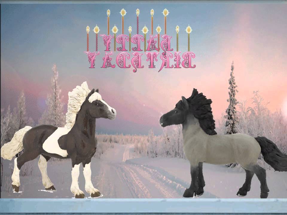 Carte anniversaire animee cheval