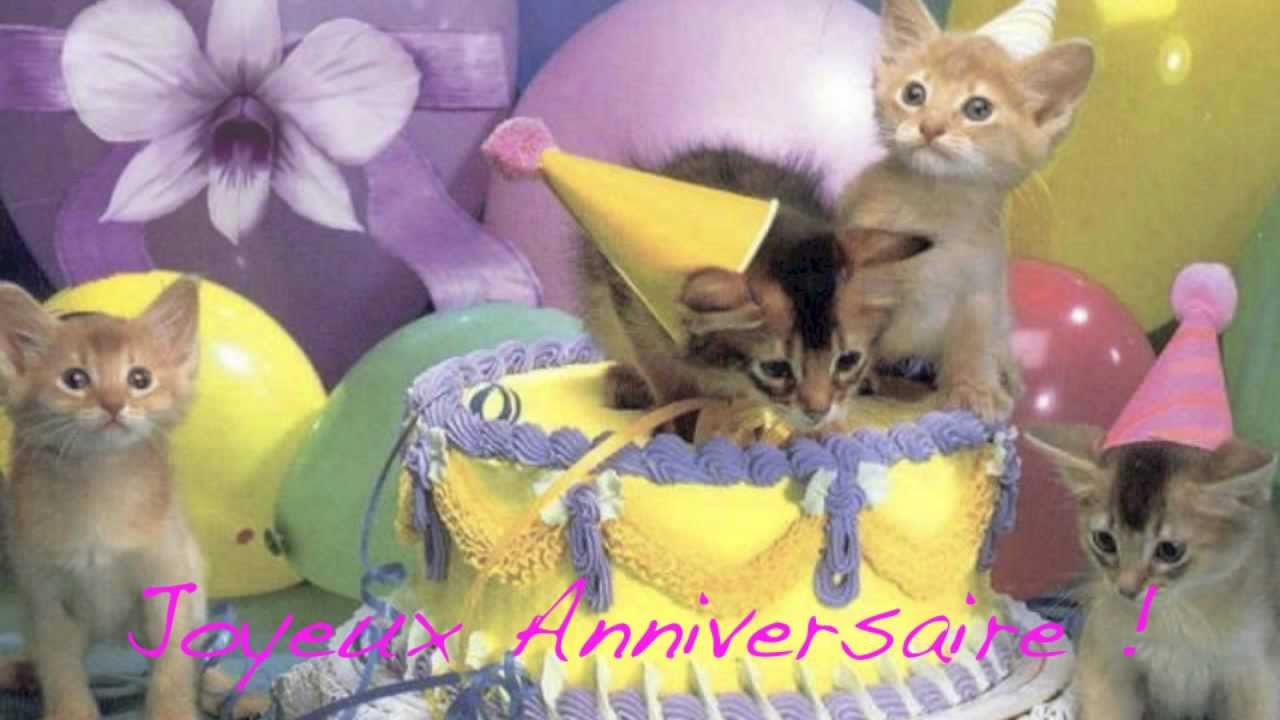 Carte anniversaire chaton mignon