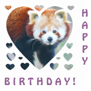 Carte anniversaire panda roux