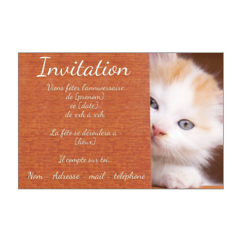 Carte anniversaire invitation chaton