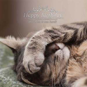 Joyeux anniversaire carte chats