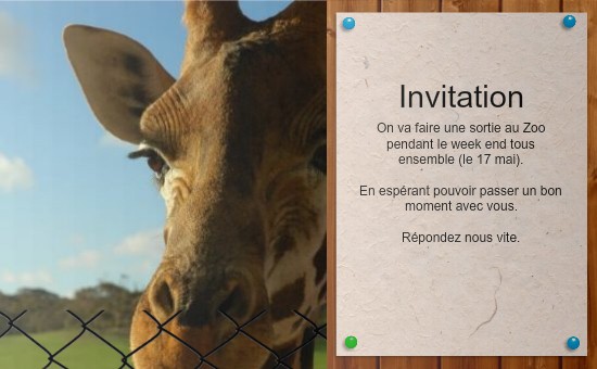 Carte invitation anniversaire zoo